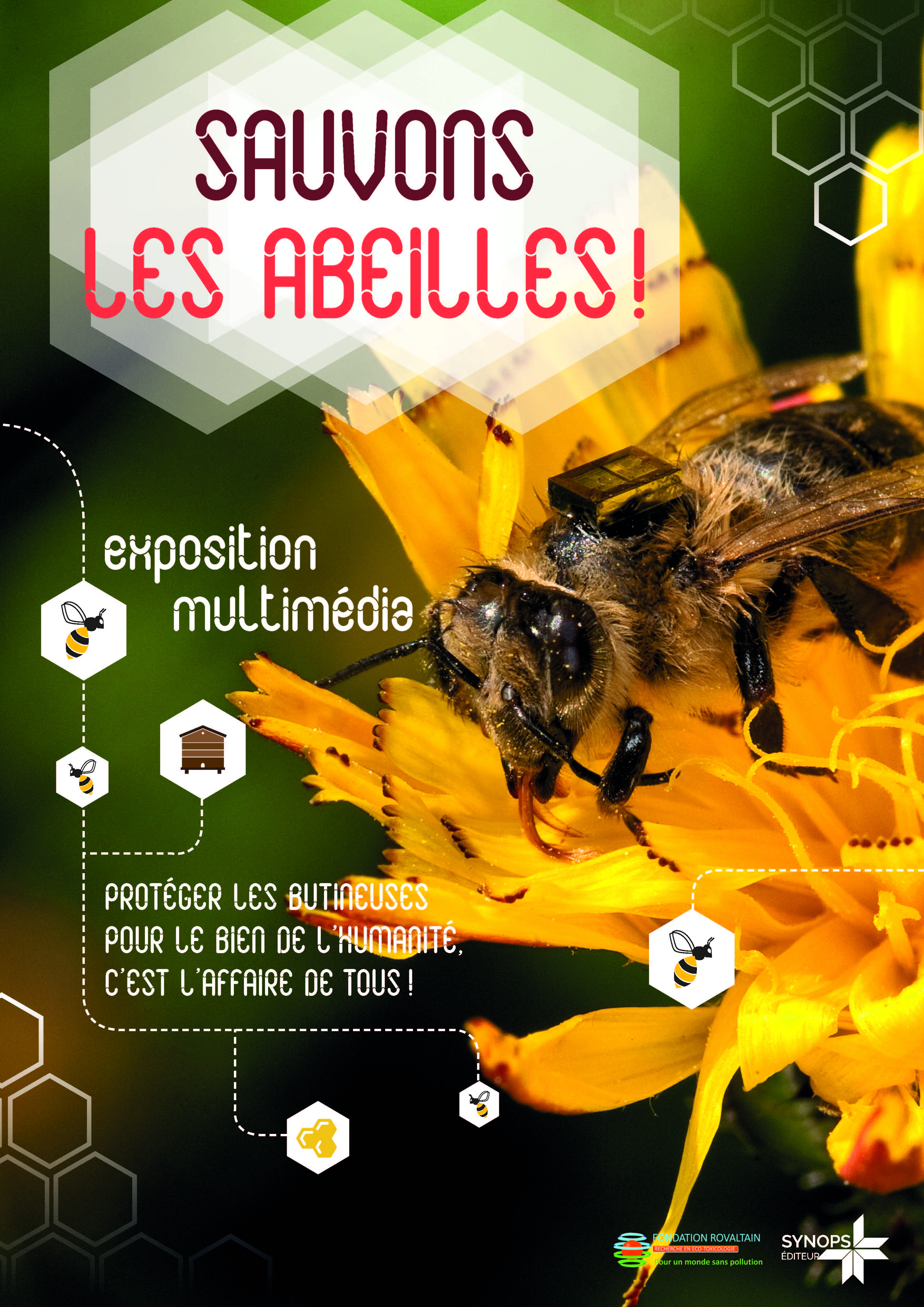 Sauvons les abeilles.jpg